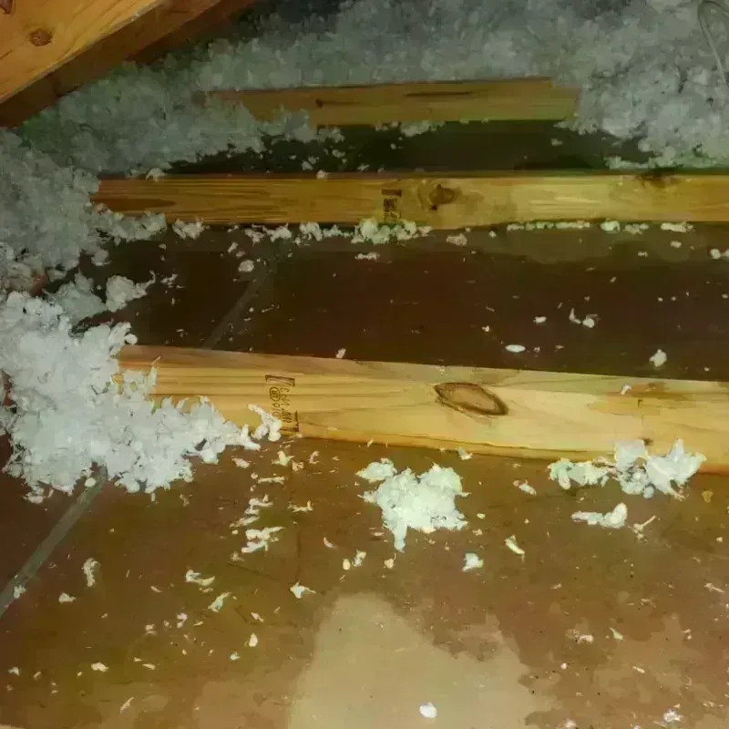 Attic Water Damage in Tippah County, MS